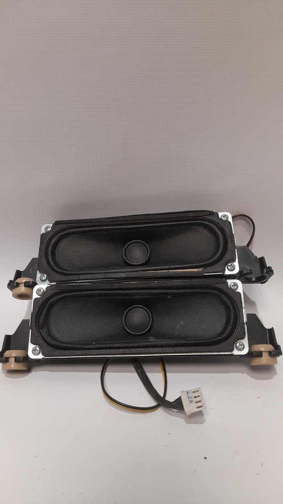 SAMSUNG LE32A456C2D – Paire de haut-parleurs