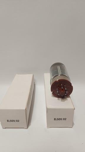 TUBE EL509 1 TUBES ET LAMPE VINTAGE NEUVE Soquet magnoval