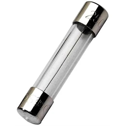 [42FUSIBLE--] Fusible verre 5x20mm T Temporisé 10 A T10A 250 V – Lot de 1